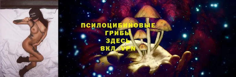 наркошоп  Абинск  Галлюциногенные грибы Psilocybine cubensis 